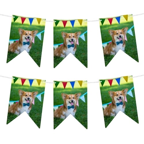 Personalised photo bunting featuring a smiling dog in front of colourful party flags, displayed outdoors.