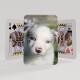 playing cards showing dog on back