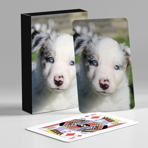 personalised playing cards with box
